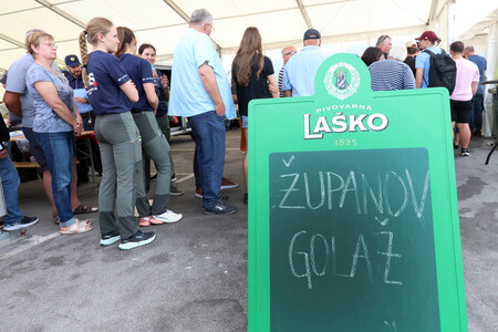 DAN ZAŠČITE IN REŠEVANJA ŽUPANOV GOLAŽ 05 FOTO LJUBO VUKELIČ